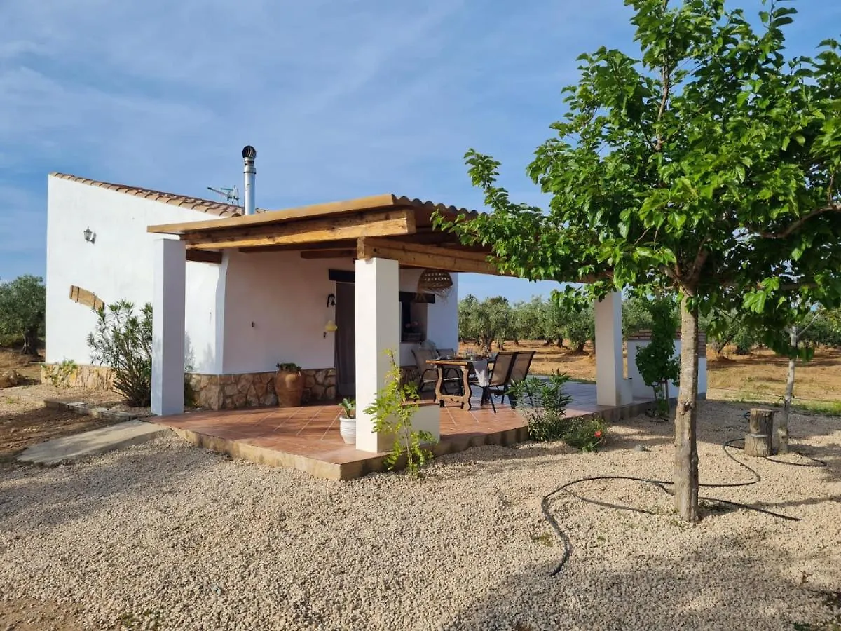 Lo Raconet 2 Villa L'Ampolla Spain